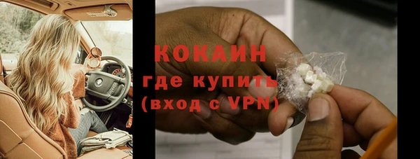 apvp Ельня