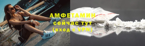стаф Новодвинск