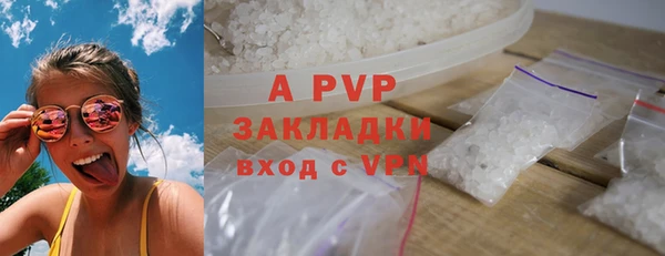 стаф Новодвинск