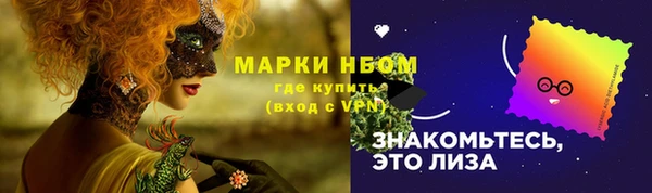 мет Новозыбков