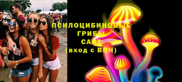 бошки Абинск