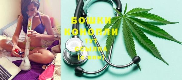 сатива Елизово