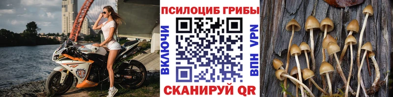 Псилоцибиновые грибы мухоморы Шлиссельбург