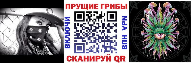купить закладку  Шлиссельбург  Галлюциногенные грибы Psilocybine cubensis 